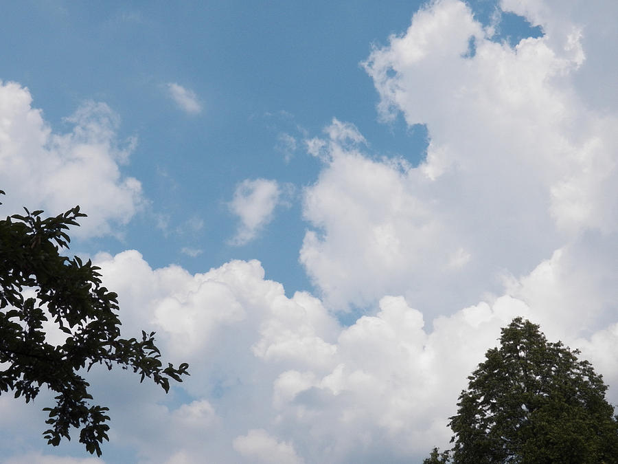 Blue Sky Clouds and Trees Photograph by Corinne Elizabeth Cowherd