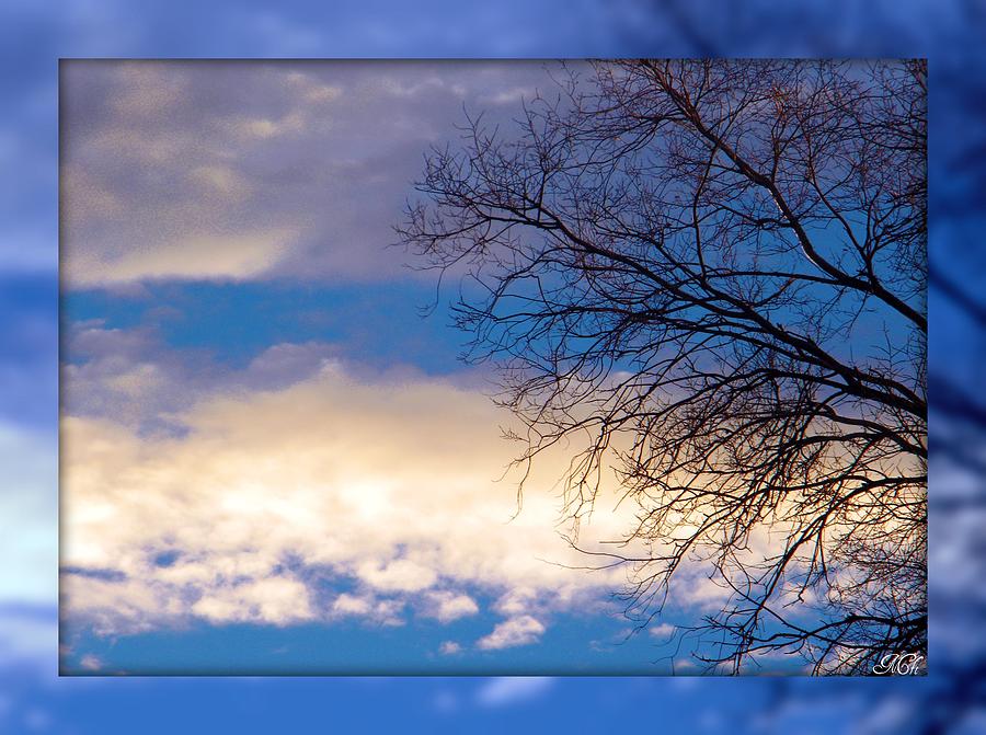 Blue sky Photograph by Michelle Frizzell-Thompson