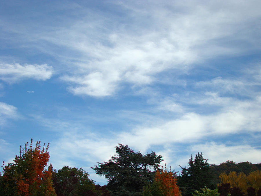 Fall Photograph - Blue Sky White Clouds Autumn prints by Patti Baslee