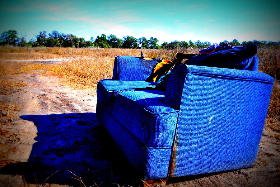 Blue Sofa Photograph by Leslie Lovell