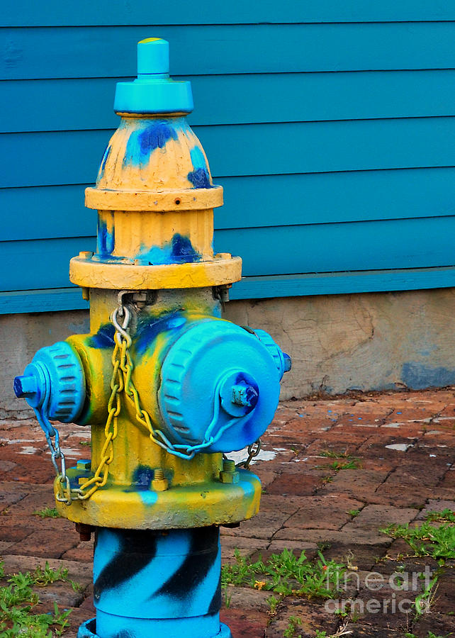 Unique Photograph - Blue Spotted Fire Hydrant by Jeanne  Woods