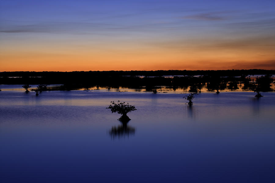 Blue Sunset Mangroves X100 Photograph by Rich Franco