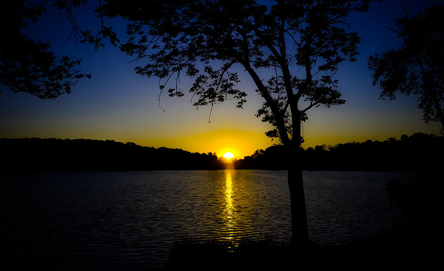 Sunset Photograph - Blue Sunset by Robert Brown
