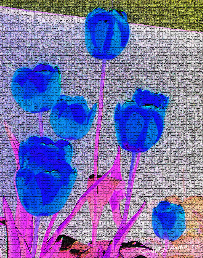 Blue Tulip Abstract Photograph by Carol F Austin