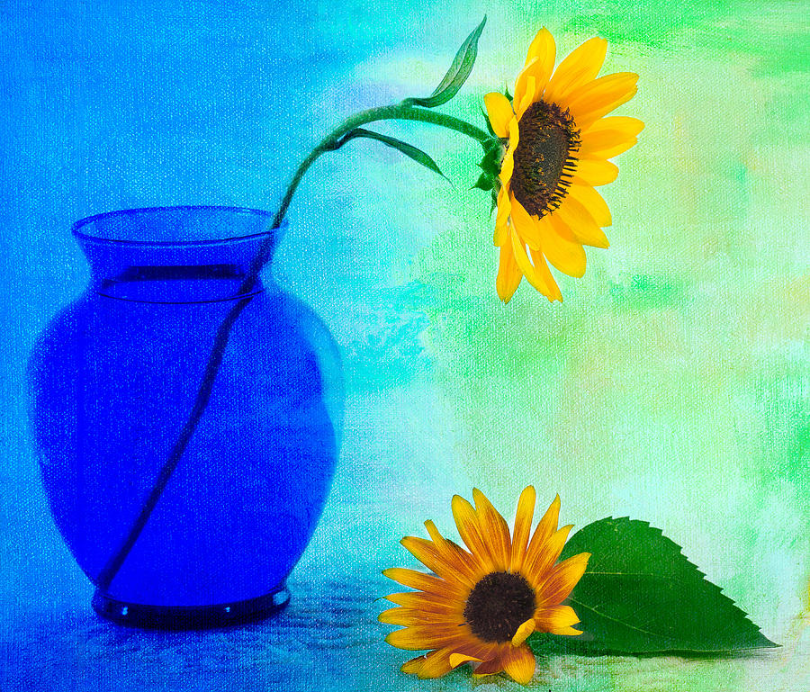 Blue Vase II Photograph by Tim Reaves