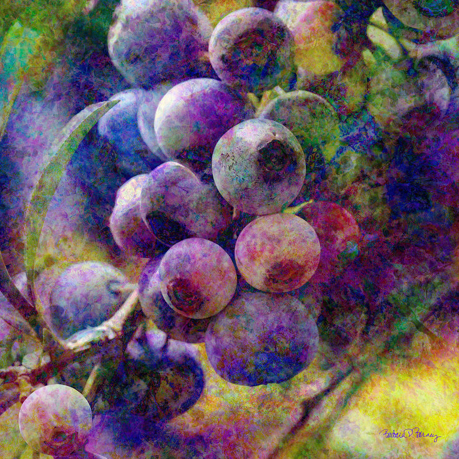 Blueberries Digital Art by Barbara Berney