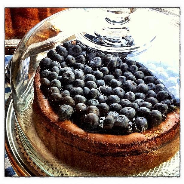 Cake Photograph - Blueberries Cheese Cake by Ale Romiti 🇮🇹📷👣