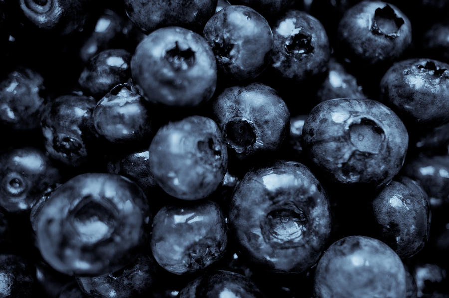 Blueberry Photograph - Blueberries by Daniel Kulinski