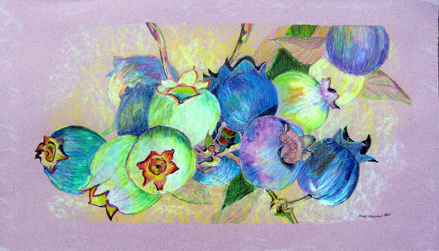 Blueberries Drawing by Mindy Newman