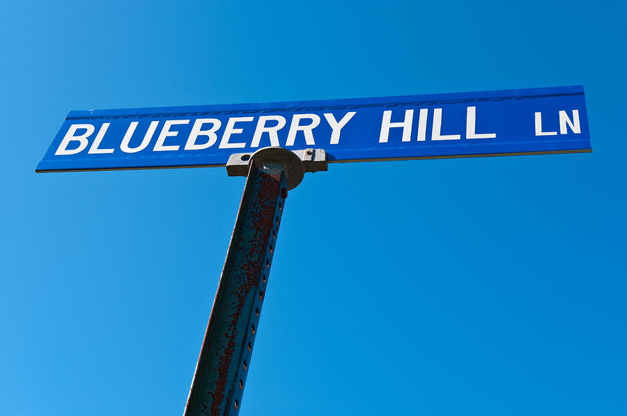 Blueberry Photograph - Blueberry Hill Sign by Steve Gadomski