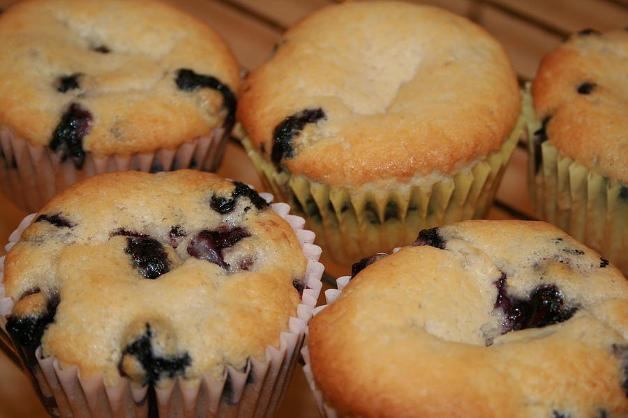 Blueberry Muffins Photograph by Kay Novy
