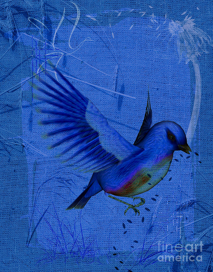 Bluebird Fantasy Digital Art by Smilin Eyes Treasures