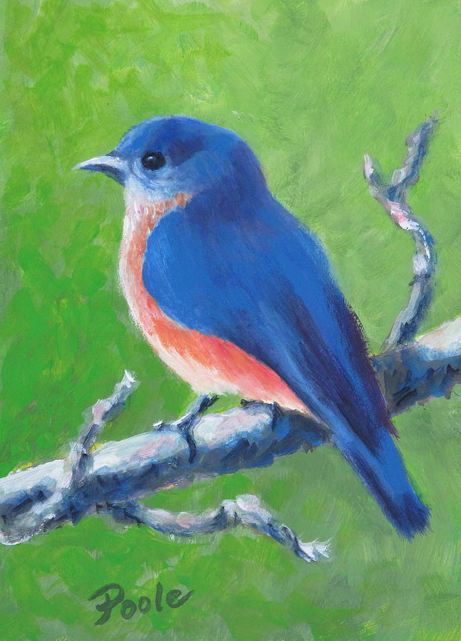 Bluebird in Spring Painting by Pamela Poole