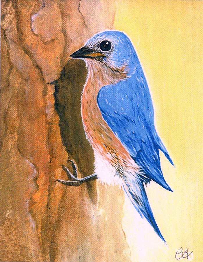 Bluebird Painting - Bluebird of Happiness by Carrie Auwaerter