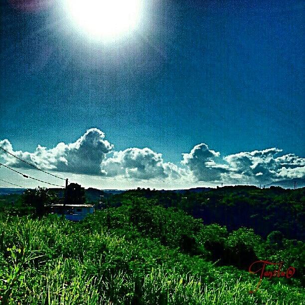 Nature Photograph - Blueeee #puertorico #morning #june10 by Tania Torres