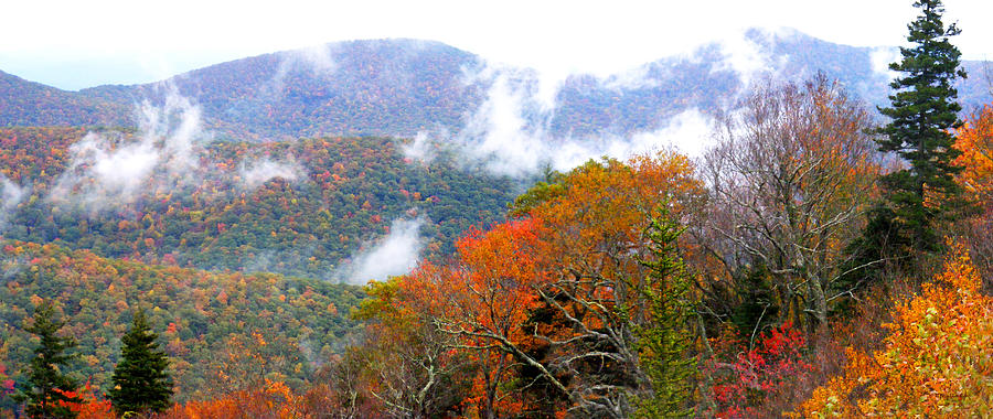 Blueridge Mountains near hwy 215 in the Fall filtered Photograph by Duane McCullough