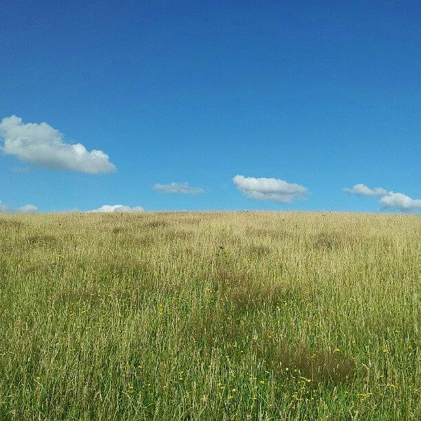 Meadow Photograph - #bluesky #meadow #cornwall #kernow by Sven Logan Todd