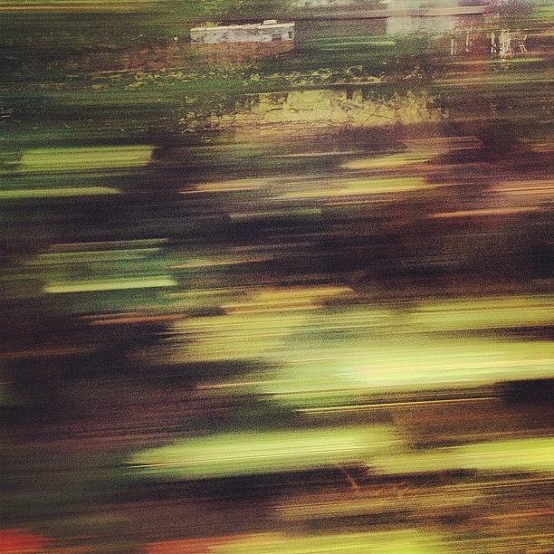 Nature Photograph - Blurred Scenery by Rebecca Shinners