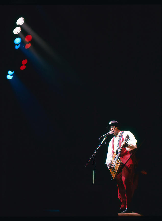 Bo Diddley on the stage Photograph by Dragan Kudjerski