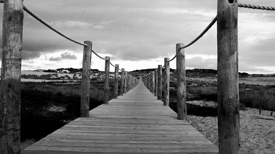 Landscape Photograph - Boardwalk of dunes by Joao Serrano