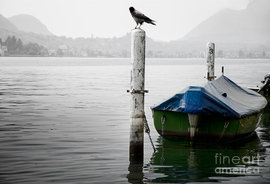 Boat and a bird Photograph by Mats Silvan