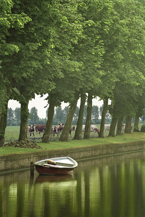 Boat in a Dutch Canal Photograph by Randall Nyhof