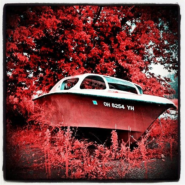 Boat Photograph - #boat #random #red #overgrown #abandoned by Kris Cox