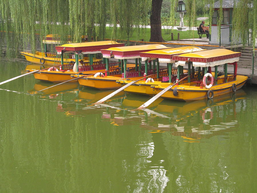 Chinese Boat Photograph - Boat With Willow by Alfred Ng