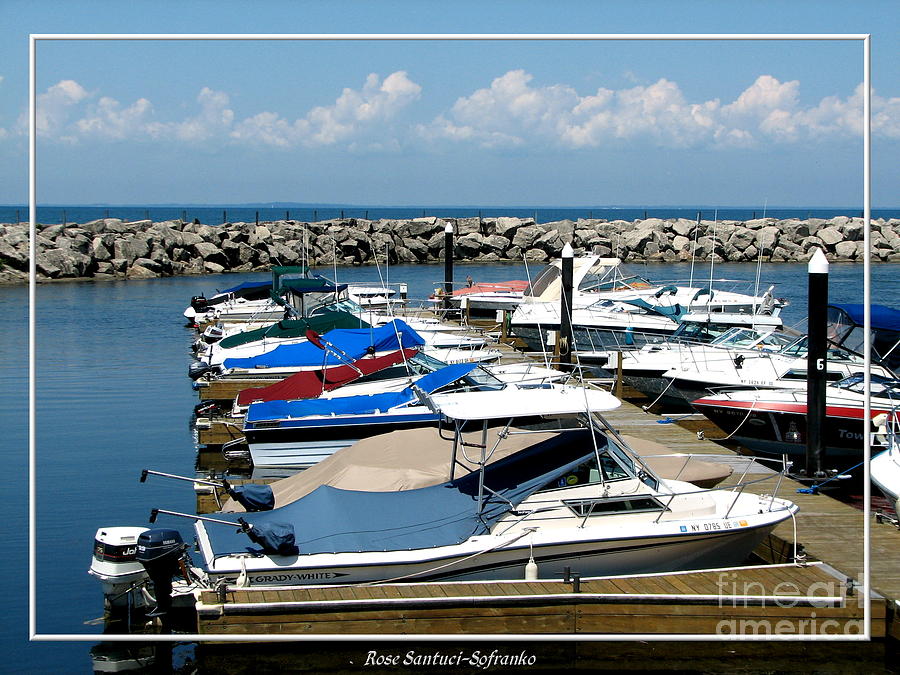 Boats at Sturgeon Point Marina on Lake Erie in New York Photograph by Rose Santuci-Sofranko