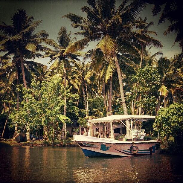 Nature Photograph - Boats At The Backwaters In Kerala!! by Dahlia Ambrose