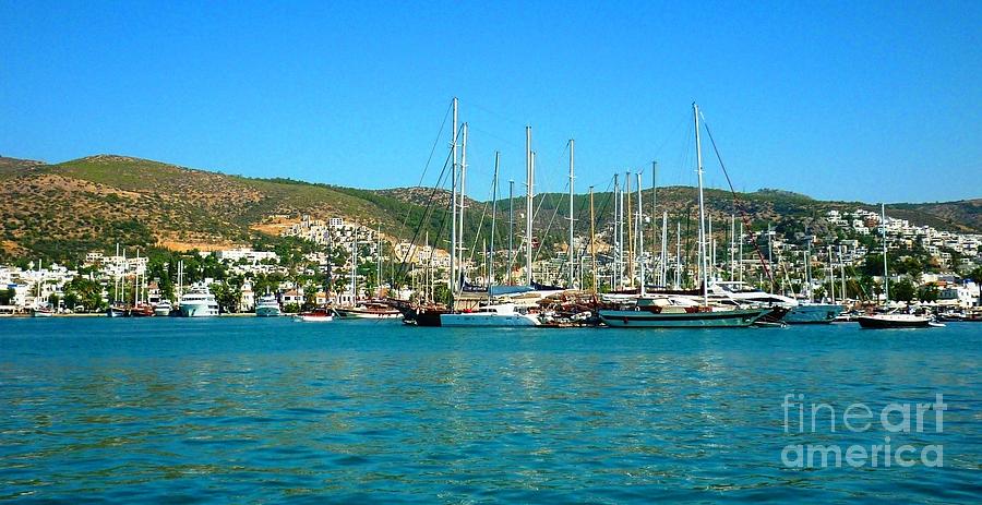 Boats of Bodrum Photograph by Therese Alcorn