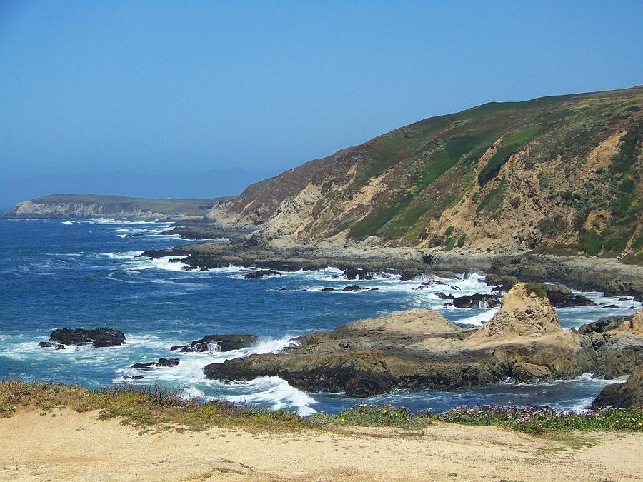 Bodega Bay Headlands Photograph by Paul Baker