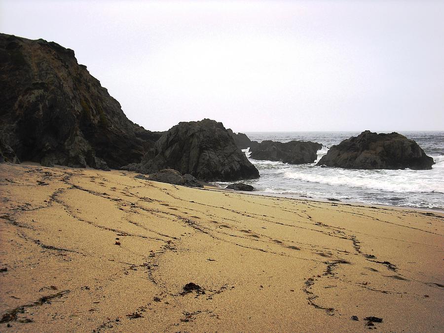 Bodega Bay Photograph by Kelly Manning