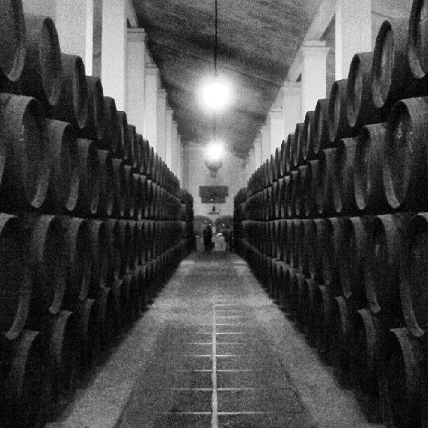 Wine Photograph - Bodegas Sandeman Jerez by Tomas Gomez