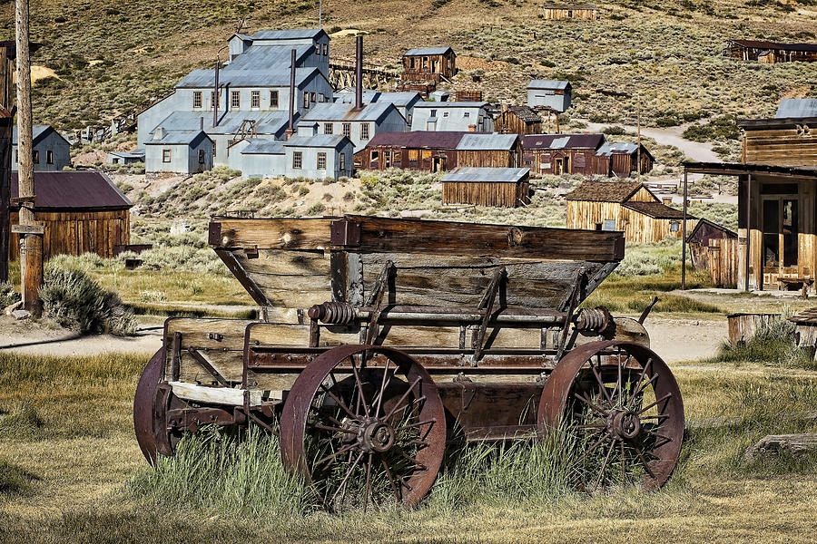 Bodie Wagon Photograph by Kelley King