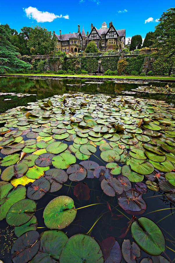 Lily Photograph - Bodnant House by Meirion Matthias