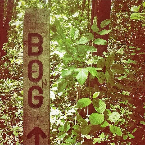 Nature Photograph - #bog #sign #signporn #hiking #nature by Kate W