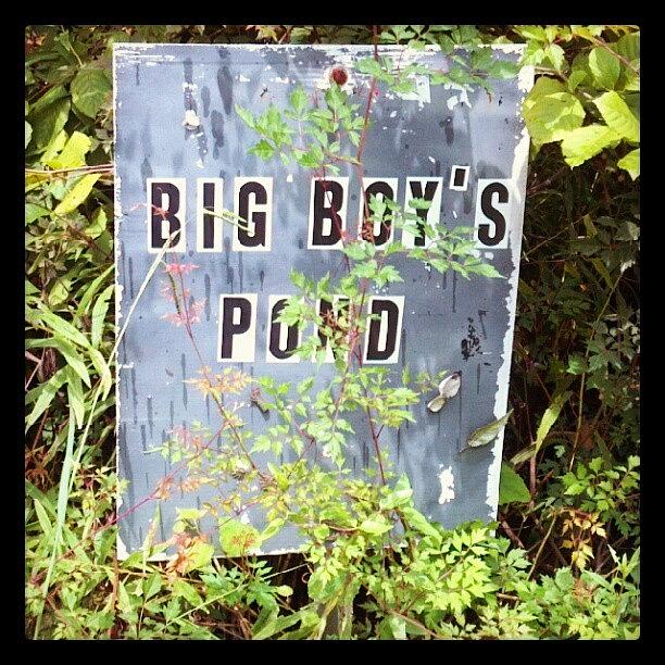 Summer Photograph - #bogboyspond #big #boys #pond #summer by Alyson Schwartz