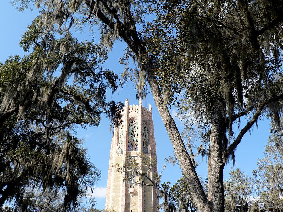 Bok Tower Gardens Florida Photograph by Elizabeth Fontaine-Barr