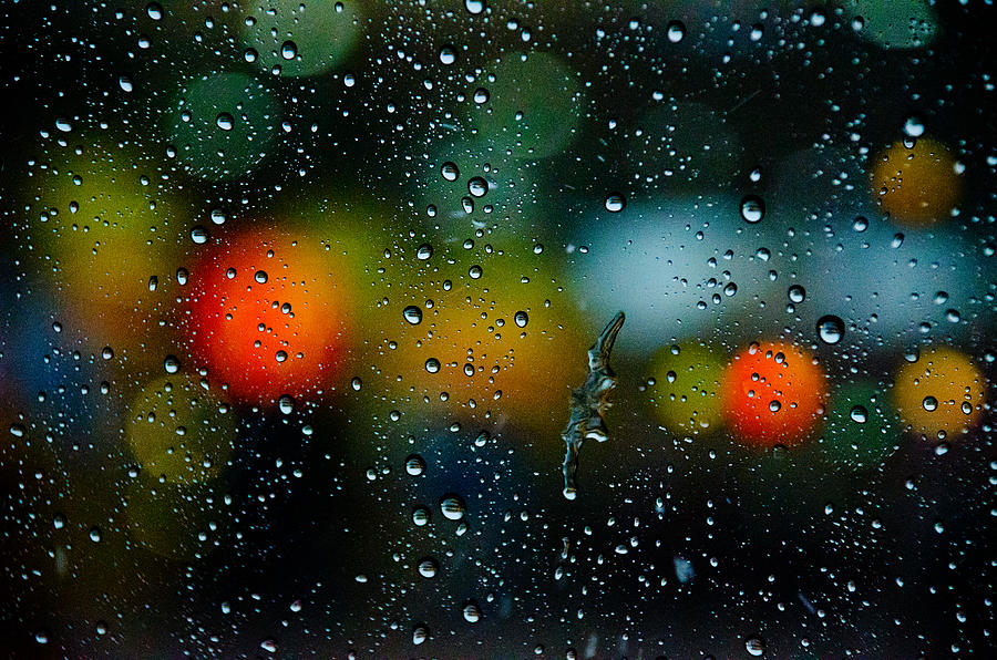 Summer Photograph - Bokeh Rain by William Shevchuk