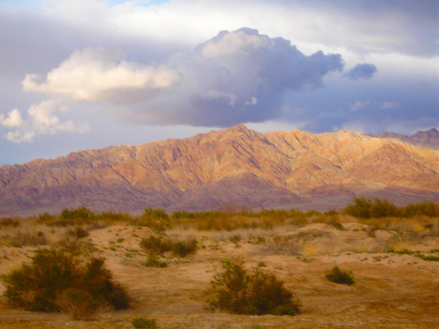 Bombay desert Photograph by Melisa Rightler - Pixels