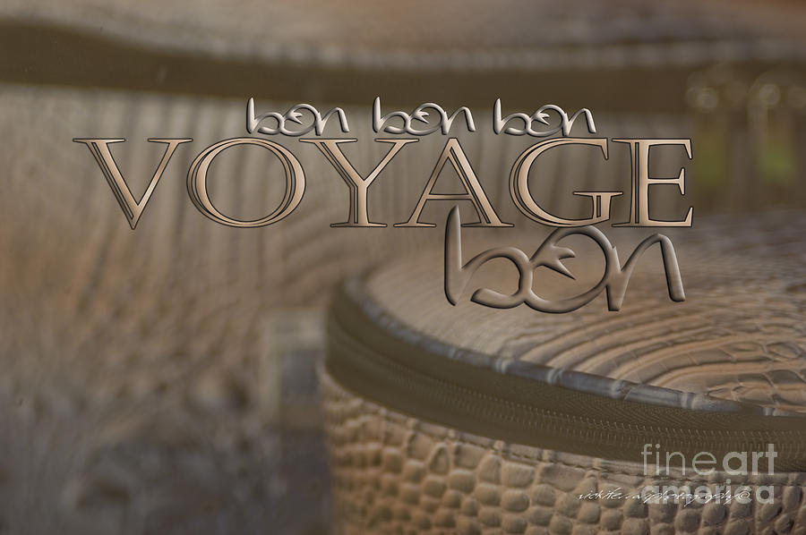Bon Voyage Photograph by Vicki Ferrari Photography