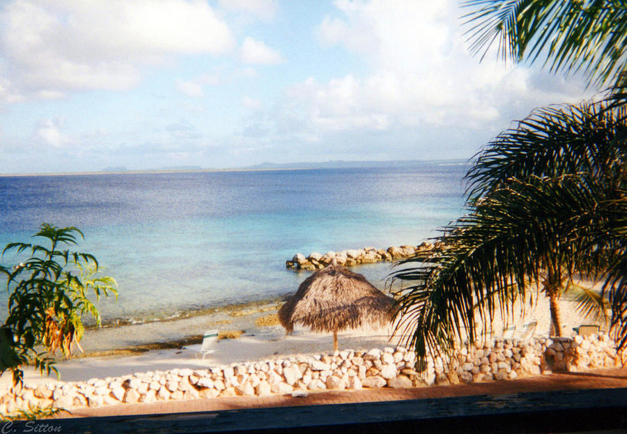 Bonaire Beach Photograph by C Sitton