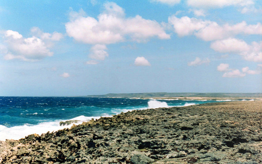 Bonaire Shore 3 Photograph by C Sitton