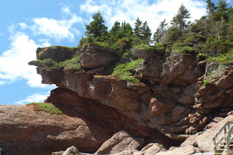 Bonaventure Island, Quebec Photograph by Ted Kinsman