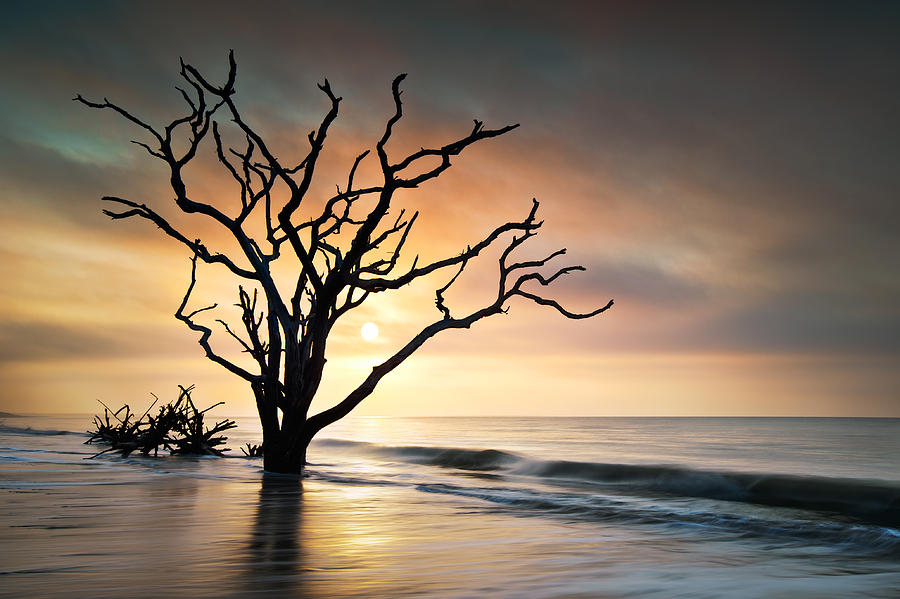 Boneyard Sunrise - Botany Bay Edisto Island SC Photograph by Dave Allen