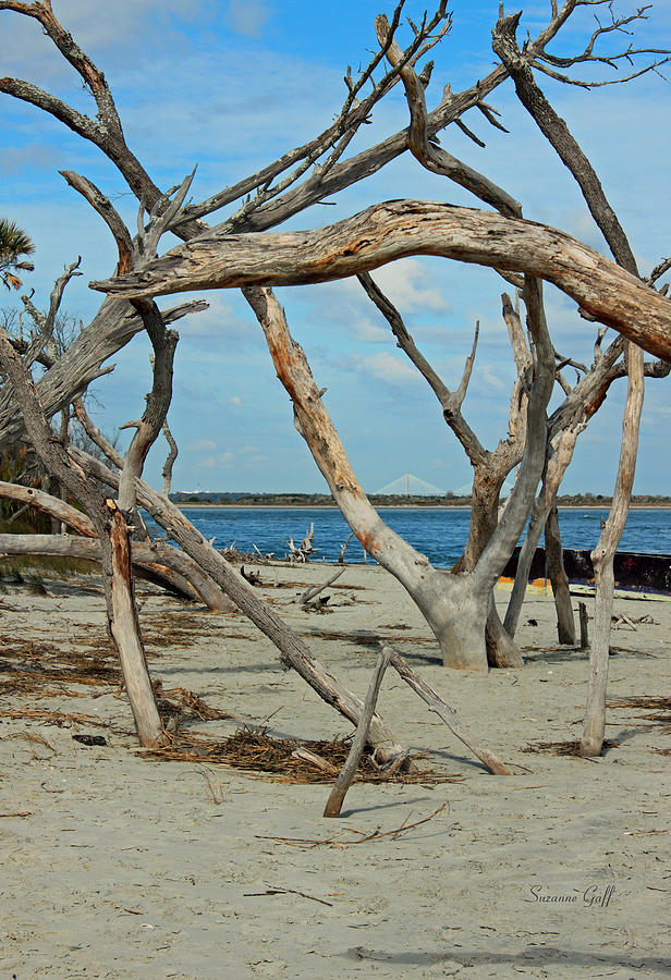 Boneyard with a View of the Cooper River Bridge Photograph by Suzanne ...