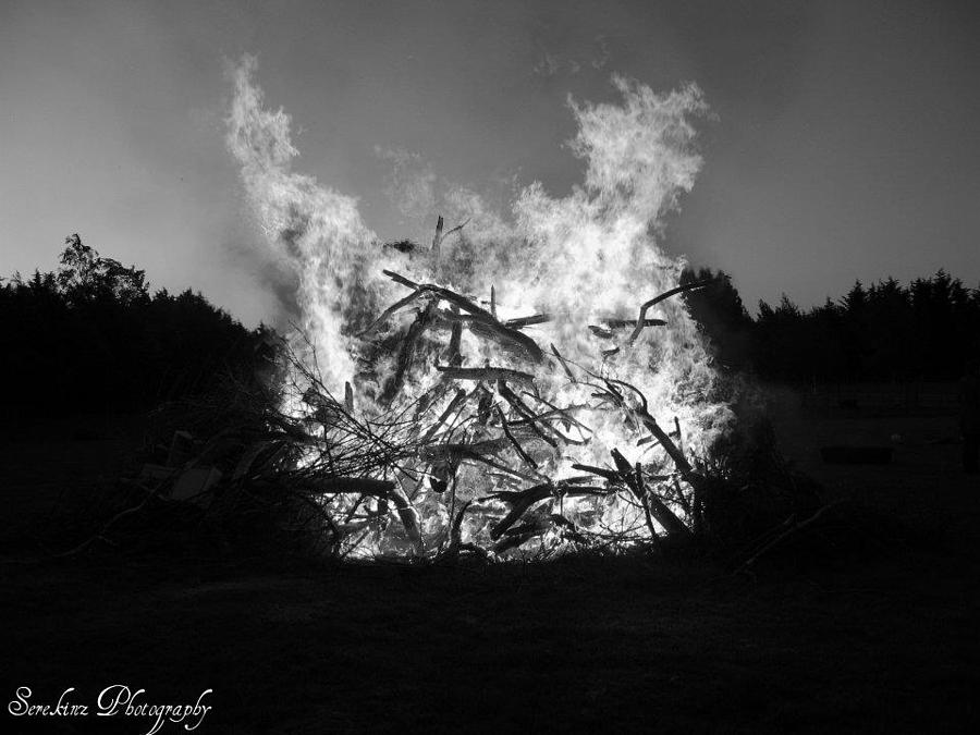 campfire black and white