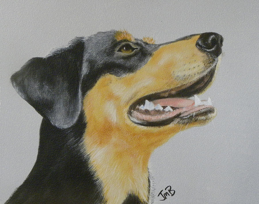Dog Painting - Bonnie by Janice M Booth