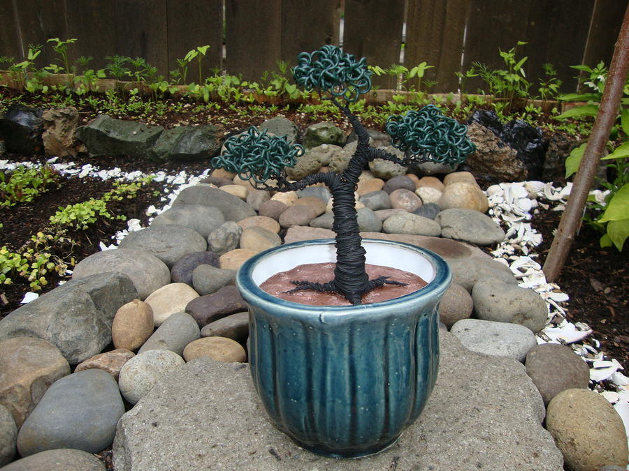 Tree Sculpture - Bonsai Tree Medium Round Blue Ceramic Planter   by Scott Faucett